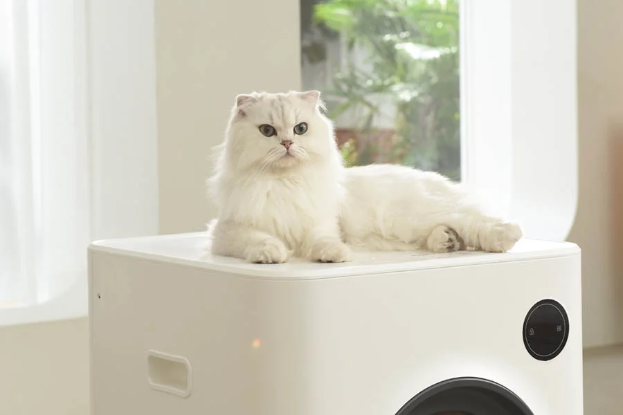 automatic litter box for cats